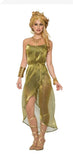 Gold Roman Toga Adult Costume Dress One Size Fits Up To Size 120