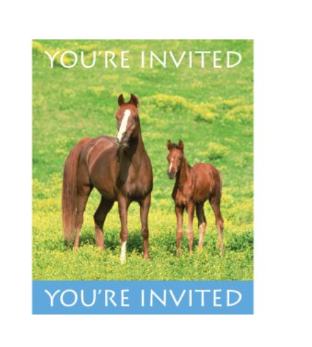 Wild Horses Party Supplies Invitations w/envelopes 8ct.
