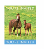 Wild Horses Party Supplies Invitations w/envelopes 8ct.