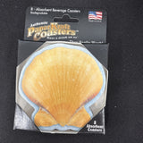 8 Authentic Paper Craft Absorbant Beverage Coasters Sea Shells NEW1