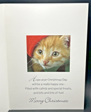 From Our Cat to Your Cat Christmas Greeting Card w/Envelope