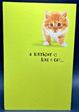 Happy Birthday (Cat) Greeting Card w/Envelope0