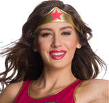 Wonder Woman Adult Large (14-16) Costume Rubies1
