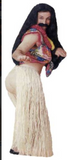 Forum Novelties Moon Over Hawaii Adult Costume (Fits up to Chest 42)0