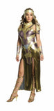 Wonder Women Queen Hippolyta Costume Size Med 10-140