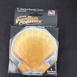 8 Authentic Paper Craft Absorbant Beverage Coasters Sea Shells NEW0