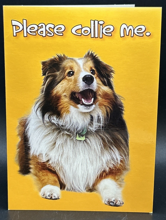 44347507