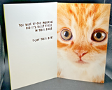 Happy Birthday (Cat) Greeting Card w/Envelope1