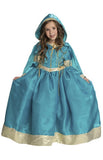 Blue and Gold Fairytale Princess Deluxe Girl's Dress Costume Size Small 4-60
