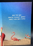 Hello Thinking of You (Flamingo) Greeting Card w/Envelope2