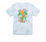 Marvel Groot T-Shirt with Short Sleeves Youth XXL (18)