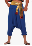 Mens Arabian Egyptian Sultan Desert Prince Blue Pants Costume Fits Up To 34”0