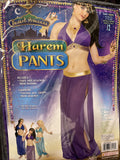 Desert Princess Harem Pants Purple Adult Women Standard