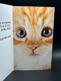 Happy Birthday (Cat) Greeting Card w/Envelope3