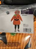 Pumpkin Patch Cutie - Costume - Infant/Toddler Size 2