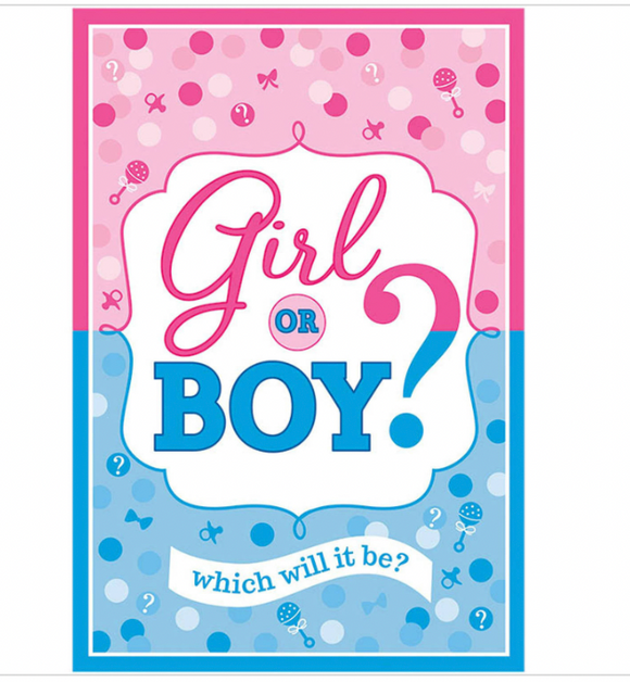 Girl or Boy? Baby Shower Invitations Blue and Pink Party Supplies 8 Count New