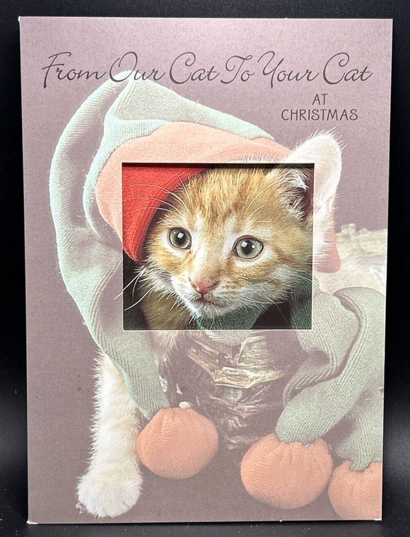 From Our Cat to Your Cat Christmas Greeting Card w/Envelope