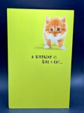 Happy Birthday (Cat) Greeting Card w/Envelope5