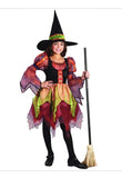 Fairy Witch Ladies Costume Small 4-6