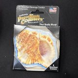 8 Authentic Paper Craft Absorbant Beverage Coasters Conch Shells NEW1