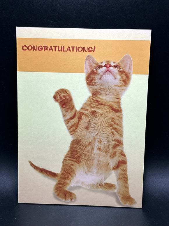 Congratulations on Your Success Greeting Card w/Envelope