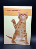 Congratulations on Your Success Greeting Card w/Envelope