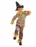 Scarecrow Boy Scary Monster Cute Brown Fancy Dress Up Child Costume Small 4-6