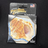 8 Authentic Paper Craft Absorbant Beverage Coasters Conch Shells NEW0