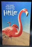 Hello Thinking of You (Flamingo) Greeting Card w/Envelope0