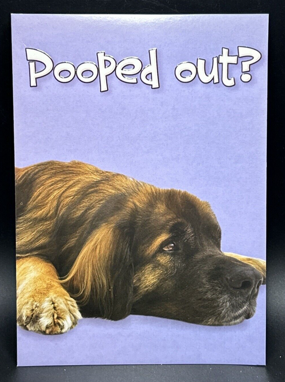 Get Well Soon Greeting Card w/Envelope