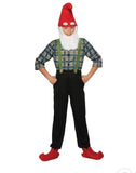Boys Basil The Gnome Costume Size small 4-60