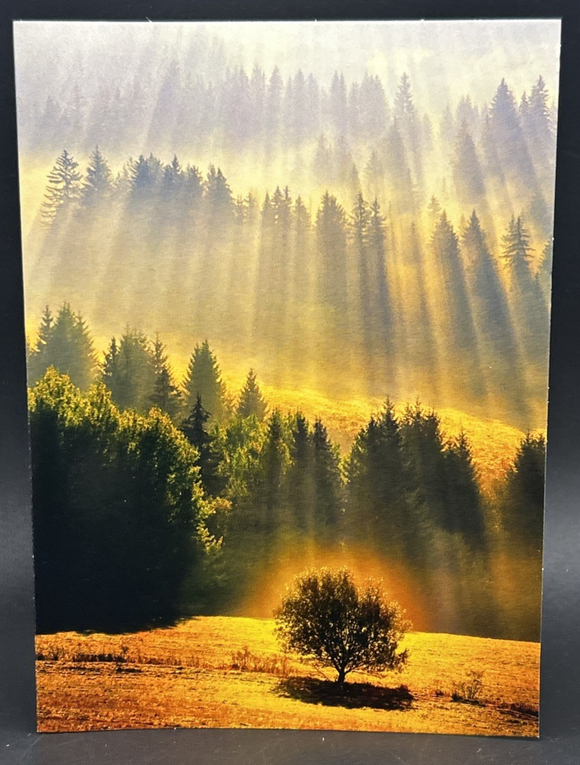 45238035