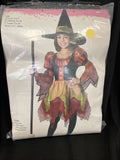 Fairy Witch Ladies Costume Small 4-6