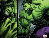 Marvel Hulk Amazon Echo Skin By Skinit NEW