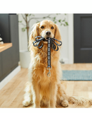 Marvel Logo Dog Leash Sz Small 5/8" x 6' 226256 NEW