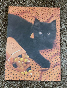 Halloween Greeting Card w/Envelope NEW