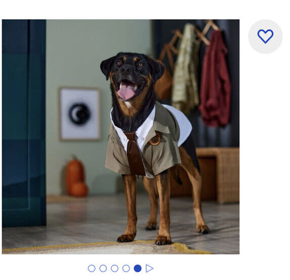 Marvel Loki Variant Dog  Costume Medium