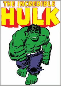 Incredible Hulk Character PHOTO MAGNET 2 1/2" x 3 1/2 ITEM: 29910MV