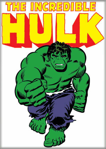 Incredible Hulk Character PHOTO MAGNET 2 1/2