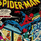 Marvel Comics Spider-Man Amazon Echo Skin By Skinit NEW