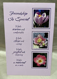 Friendship Greeting Card w/Envelope NEW