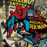 Marvel Spider-Man Vintage Comic Apple iPad 2 Skin By Skinit NEW