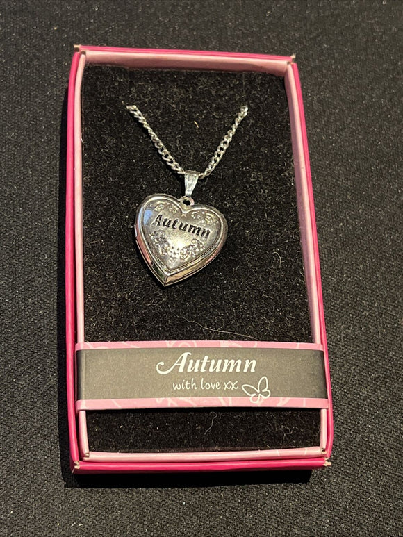 Heart Picture Locket With Love Necklace 16-18