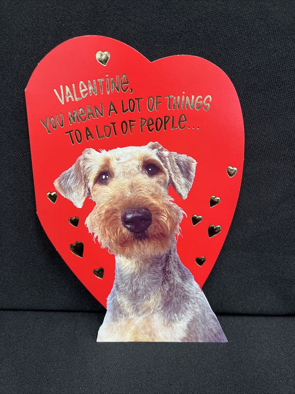 Valentine's Day Greeting Card w/Envelope