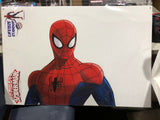 Marvel Ultimate Spider-Man 02 Lifesize Standup Cardboard Cutout 1593 NEW