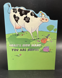 Happy 5th Birthday Greeting Card w/Envelope