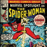 Marvel Spider-Woman Origins Apple iPad 2 Skin By Skinit NEW