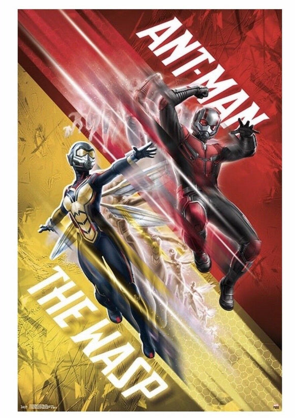 Ant-Man And The Wasp-Duo Wall Poster 22.375”x34” Trends Brand NEW