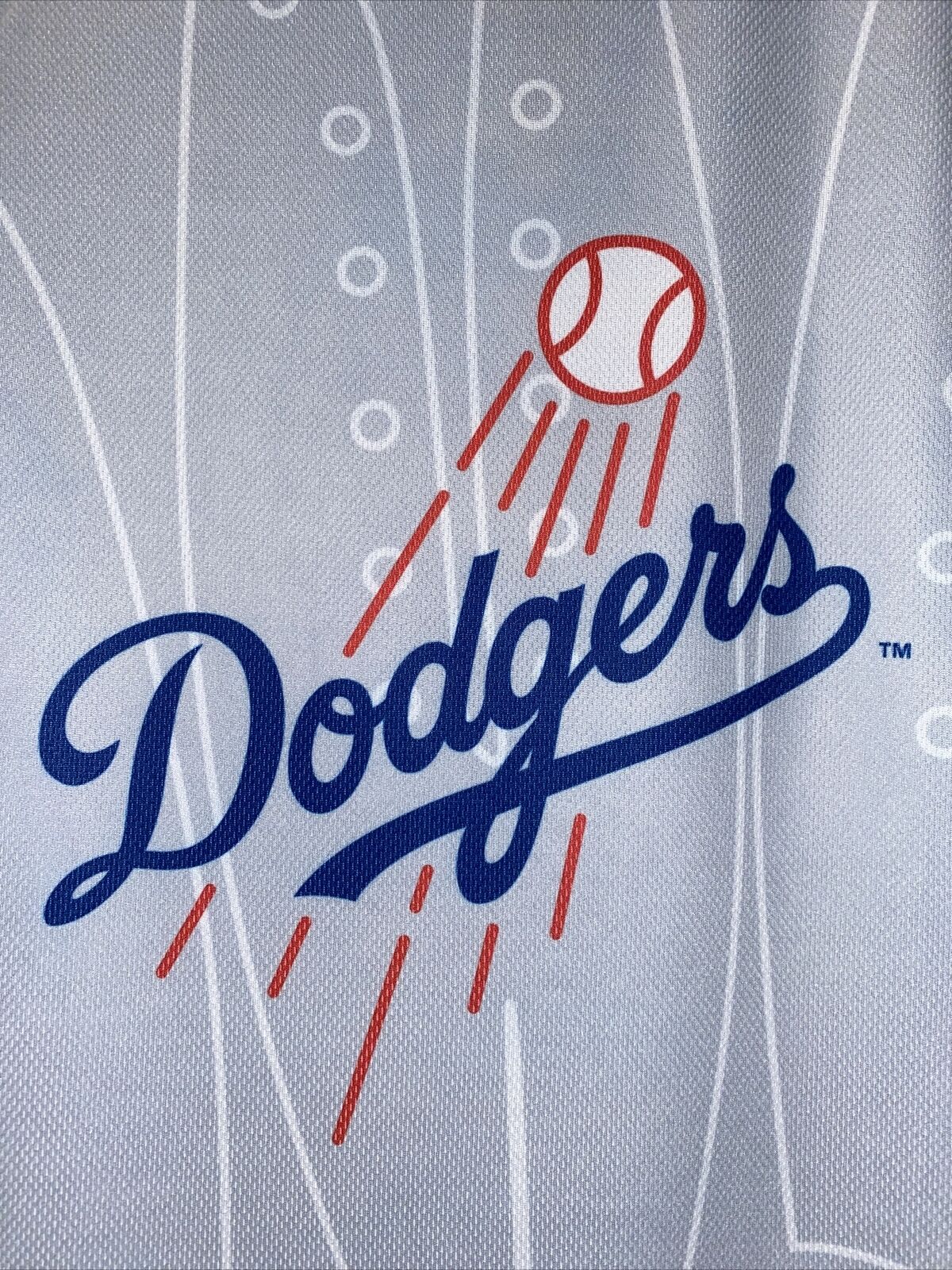 Sportscrate Limited Edition by Loot Crate MLB Dodgers Men's Athletic Shirt (M)