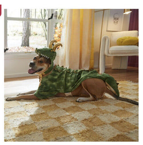 Marvel Loki’s Alligator Dog Costume Sz  Large